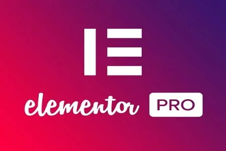Elementor Pro product artwork